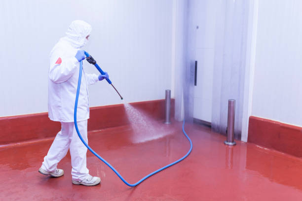 Best Soft Washing  in Marysville, OH