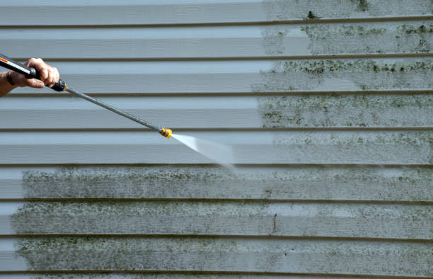 Best Animal Enclosure Cleaning  in Marysville, OH